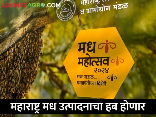 Efforts are being made to make Maharashtra number one in honey production | महाराष्ट्र मध निर्मितीत पहिल्या क्रमांकावर यावा ह्यासाठी प्रयत्न