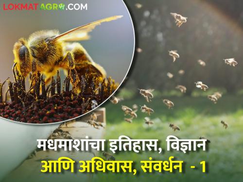 History of honey Bees | Honey Bee : मधमाशांचा इतिहास, विज्ञान आणि अधिवास, संवर्धन 