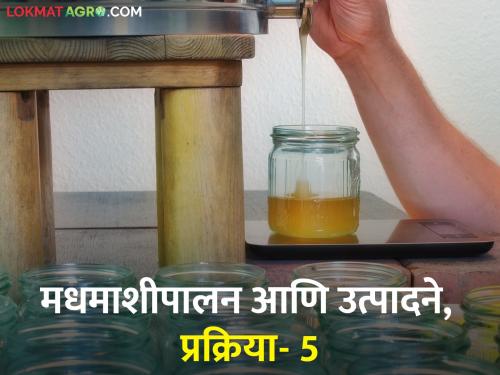 Latest news Honey Bee Beekeeping and products, processes | Honey Bee : मधमाशीपालन आणि उत्पादने, प्रक्रिया