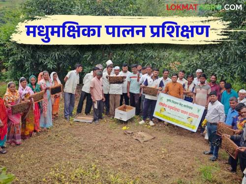 Latest News Agriculture News Malegaon KVK's five-day beekeeping training is completed | Agriculture News : मालेगाव केव्हीकेचे पाच दिवसीय मधुमक्षिका पालन प्रशिक्षण संपन्न