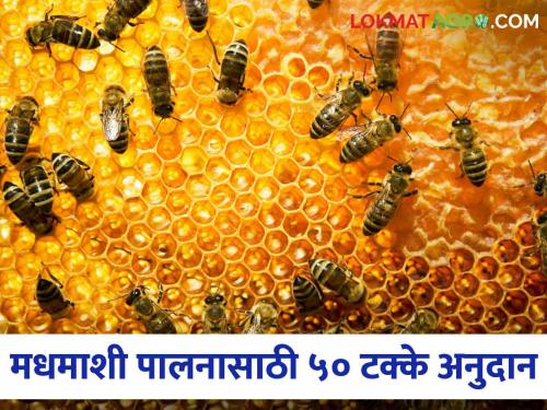 50 percent subsidy for beekeeping; Call for applications by 20th July | शेतकऱ्यांनो अतिरिक्त उत्पन्न कमवा; मधाच्या व्यवसायासाठी मिळणार ५०% अनुदान, अशी आहे योजना