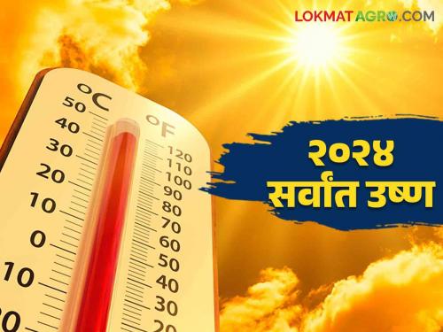 Jagtik Tapman Vadh: 2024 will be the hottest year ever due to global warming | Jagtik Tapman Vadh : तापमान वाढीमुळे २०२४ हे सर्वांत उष्ण वर्ष ठरणार