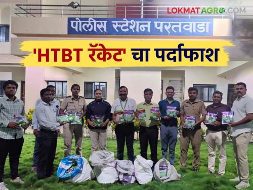 latest news HTBT Cotton Seeds: Agricultural center chalak black business exposed; Seeds seized from car including warehouse Read in detail | HTBT Cotton Seeds: कृषी केंद्र चालकाचा काळा धंदा उघड; गोदामासह कारमधून बियाणे हस्तगत वाचा सविस्तर
