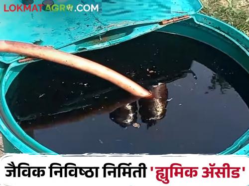 How to make humic acid at home; How much and how to use? | Humic Acid घरच्या घरी ह्युमिक अॅसीड कसे बनवाल; किती व कसे वापराल?