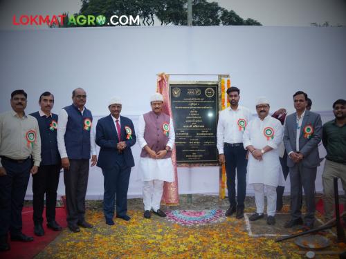 Agriculture College Pune : Bhoomipujan of Center of Excellence of Desi Cow Research and Training Center in Pune | Agriculture College Pune : पुण्यातील देशी गाय संशोधन व प्रशिक्षण केंद्राच्या सेंटर ऑफ एक्सलन्सचे भूमिपूजन