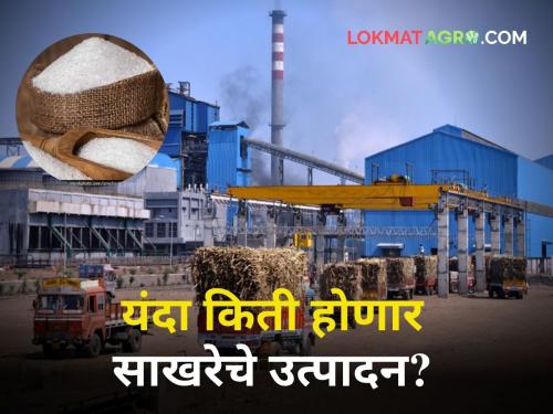 maharashtra agriculture sugarcane production decreased but how much sugar will be produced at the end of the year | Sugarcane Factory : गाळप घटले पण वर्षाअखेर किती होणार साखरेचे उत्पादन? कारखान्यांकडे किती राहिली थकबाकी?