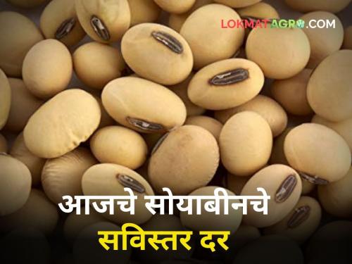 maharashtra agriculture farmer today soybean rates market yard | राज्यात आज सोयाबीनचे दर किती होते? जाणून घ्या सविस्तर