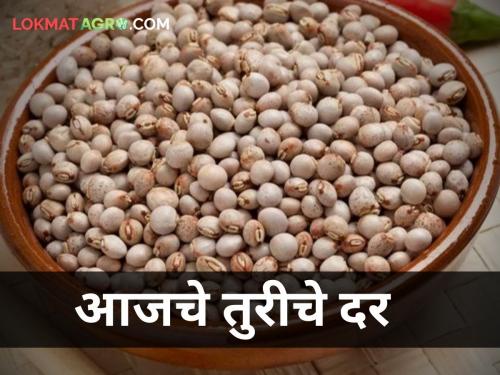 maharashtra farmer agriculture market yard todays tur market price detailed | जाणून घ्या आजचे तुरीचे सविस्तर दर