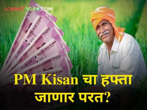 maharashtra farmer pm kisan scheme central government income tax return ammount refund to government | ITRमुळे शेतकऱ्यांना मिळालेला PM Kisanचा निधी परत जाणार?