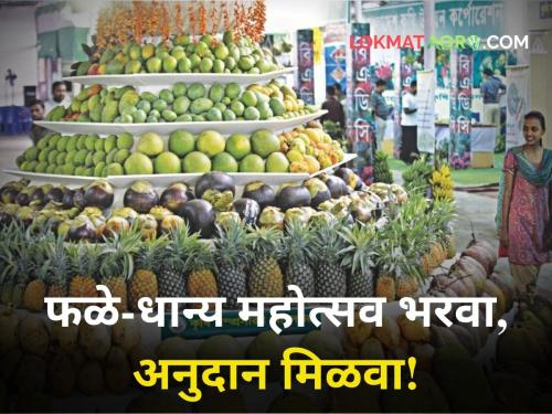 Hold fruit grain festival get grant Scheme Board Trade FPC will benefit Maharashtra State Agricultural Marketing Board | फळे-धान्य महोत्सव भरवा, अनुदान मिळवा! पणन मंडळाची योजना; FPC ला होणार फायदा