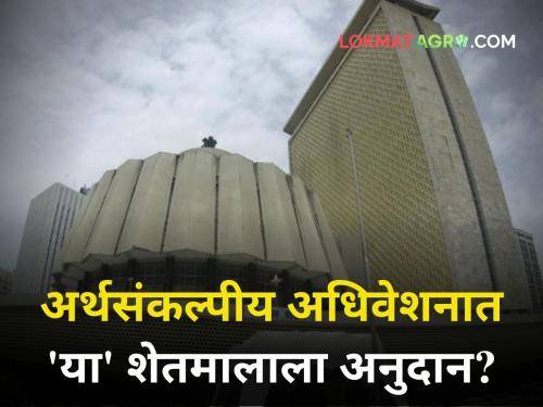 What announcements will be made in the budget session of maharashtra This farm will get subsidy | अर्थसंकल्पीय अधिवेशनात कोणत्या घोषणा होणार? 'या' शेतमालाला मिळणार अनुदान?