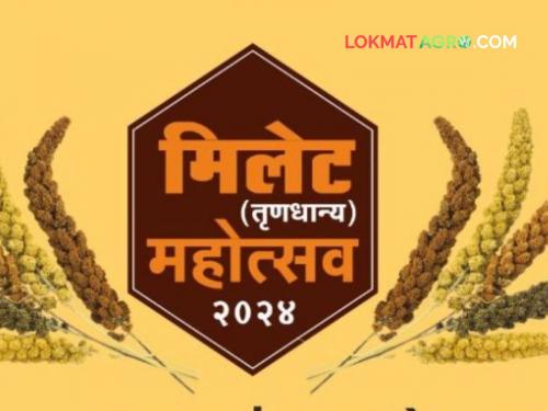 Hurry up maharashtra state agriculture marketing board Millet festival held in Kolhapur | त्वरा करा! बाजरीच्या लाह्या, ज्वारीची इडली अन्...; 'येथे' भरलाय मिलेट महोत्सव