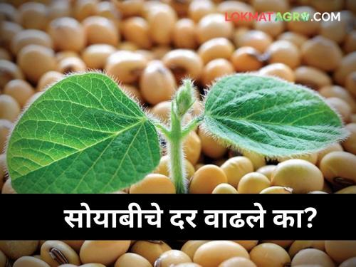 maharashtra agriculture farmer What price soybeans across state | राज्यभरातील अनेक बाजार समित्या बंद! सोयाबीनला किती मिळाला दर?