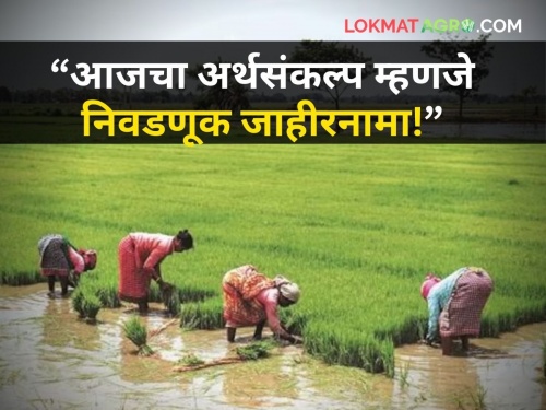 maharashtra economic budget 2024 loksabha election agriculure farmer very danger | "१ ट्रिलीयन नावाला, आजचा अर्थसंकल्प म्हणजे केवळ निवडणूक जाहीरनामा! हे खूप घातक"