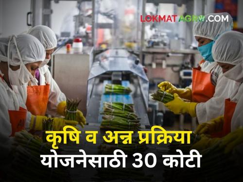 100 crore program approval for Chief Minister Agriculture and Food Processing Scheme; 30 crore distributed | मुख्यमंत्री कृषि व अन्न प्रक्रिया योजनेसाठी १०० कोटींच्या कार्यक्रमास मान्यता; ३० कोटी वितरीत