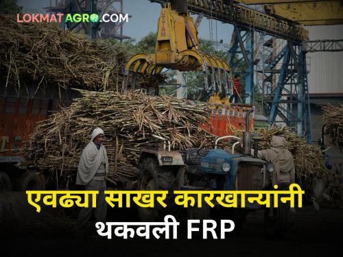 Sugarcane season in the last stage FRP amount outstanding with these sugar factories | उस हंगाम शेवटच्या टप्प्यात! 'या' कारखान्यांकडे FRPची रक्कम बाकी