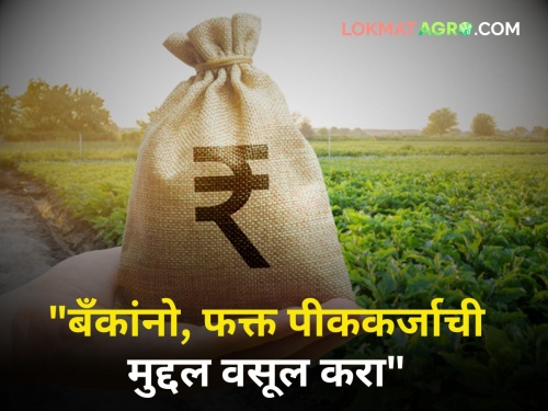 "Banks, collect only principal of crop loans from farmers"; Instructions of Cooperative Department | "बँकांनो, शेतकऱ्यांकडून फक्त पीककर्जाची मुद्दल वसूल करा"; सहकार विभागाच्या सूचना