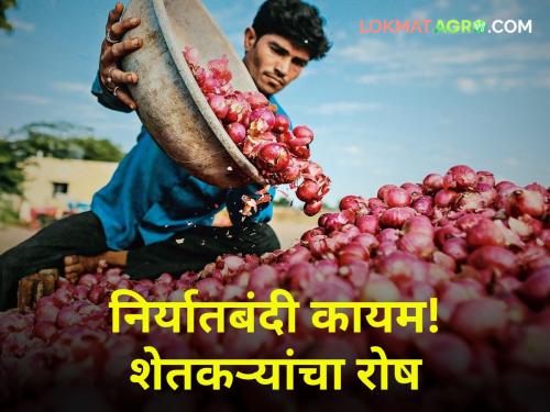 onion export bann continues onion producer farmer and political leader reaction | कांदा निर्यातबंदी कायम! सरकारच्या निर्णयानंतर शेतकरी, आंदोलकांचे म्हणणे काय?