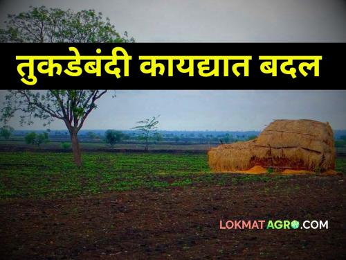 major change in land purchase law tukadebandi kayada now 5 thousand square feet agriculture land can be sell purchase | आता १ ते ५ गुंठे जमिनीचीही करता येणार खरेदी-विक्री; तुकडेबंदी कायद्यात मोठा बदल