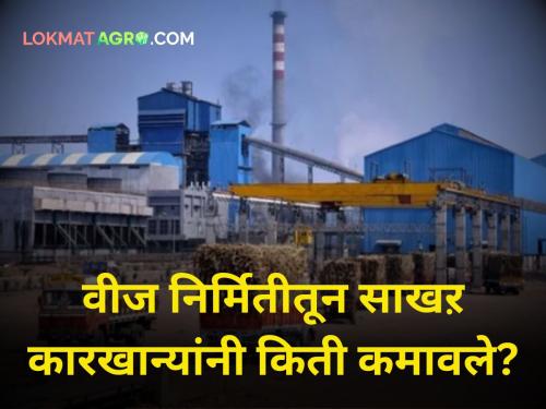 Sugar factories profit from power generation! Billions in revenue; Learn the statistics | वीज निर्मितीतून साखर कारखाने मालामाल! कोट्यावधींची कमाई; जाणून घ्या आकडेवारी