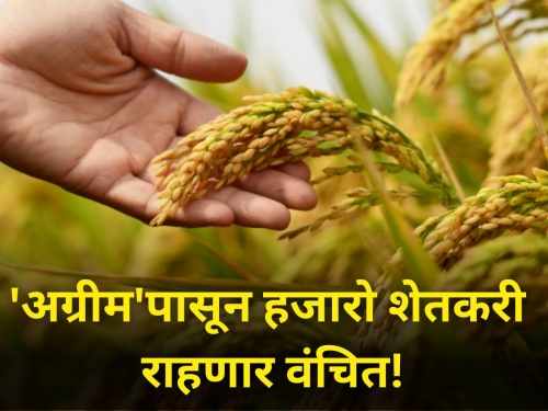 agrim advance crop insurance farmer crop insurance company rain crisis diwali festival | अखेर निराशाच; 'अग्रीम' जाहीर पण हजारो शेतकरी राहणार वंचित!