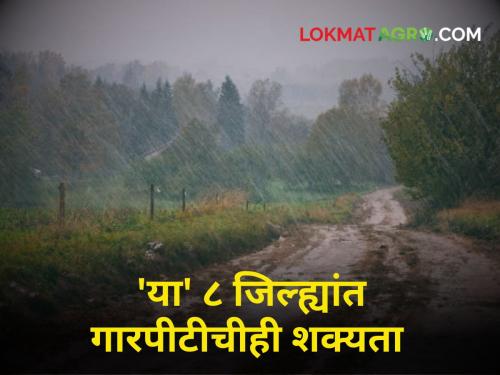 Unseasonal weather spread in 8 districts from today possibility hailstorm heavy rain | पुढील ४ दिवसांत 'या' ८ जिल्ह्यांत अवकाळी अन् गारपीटीची शक्यता