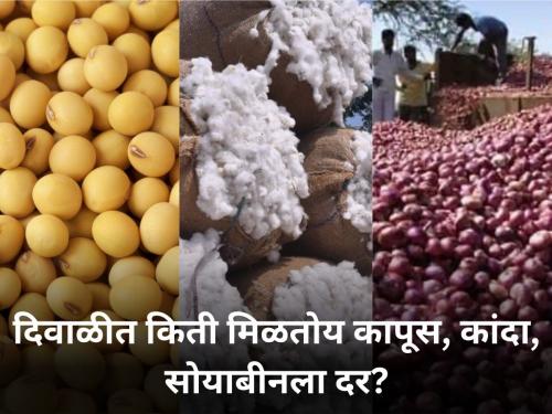 agriculture farmer produce rate price market yard diwali festival special selling | मुहूर्ताची खरेदी! शेतमालाला आज किती मिळाला दर?