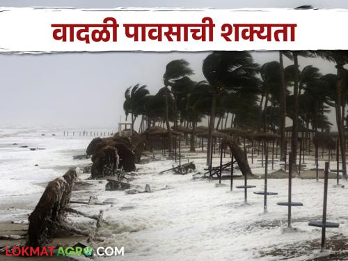 Maharashtra Weather Update Stormy rains in the state for the next four days | Maharashtra Weather Update राज्यात पुढचे चार दिवस वादळी पावसाचे