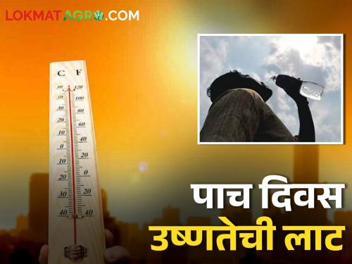 Latest News Chance of heat wave for five days in 22 districts of Maharashtra Read in detail | महाराष्ट्रातील 'या' 22 जिल्ह्यात पाच दिवस उष्णतेच्या लाटेची शक्यता! वाचा सविस्तर 