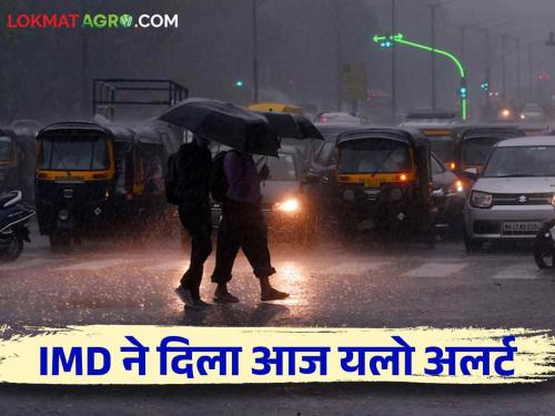 Maharashtra Weather Update : Will the rainfall reduce from today? Read the IMD report in detail | Maharashtra Weather Update : पावसाची 'धार' आजपासून कमी होणार का? IMD रिपोर्ट वाचा सविस्तर