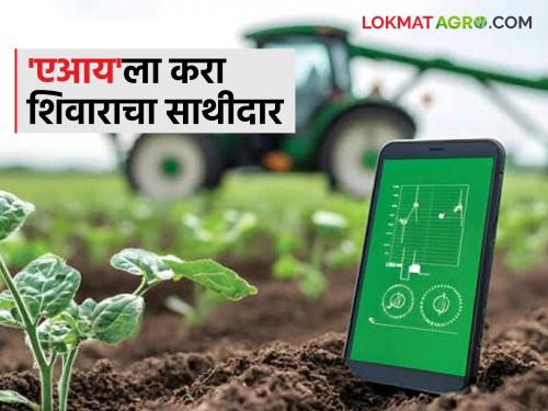 Latest News Ai For Agriculture Can AI be beneficial for agriculture and farmers Read in detail | Ai In Farming : शेतीसाठी, शेतकऱ्यांसाठी एआय फायदेशीर ठरू शकतो का? वाचा सविस्तर 