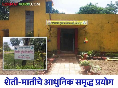 Latest News Nature of work of Krishi Vigyan Kendra at Sindewahi in Chandrapur district see details | Agriculture News : चंद्रपूरच्या सिंदेवाही येथील कृषी विज्ञान केंद्र कसे काम करते? जाणून घ्या सविस्तर 