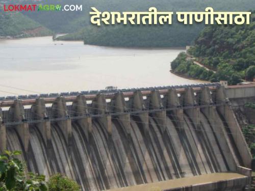 India Water Storage: Read in detail how much water storage in which part of the country | India Water Storage: देशातील कोणत्या भागात किती पाणीसाठा वाचा सविस्तर