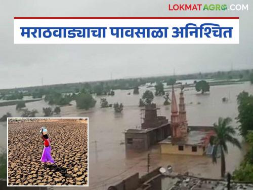 latest news Irregular monsoon in Marathwada : Rainfall has become erratic; sometimes there is cloudburst, sometimes drought in Marathwada, know the reasons | Irregular monsoon in Marathwada : पावसाचा ताळमेळ बिघडला; मराठवाड्यात कधी ढगफुटी, कधी दुष्काळ जाणून घ्या कारणं