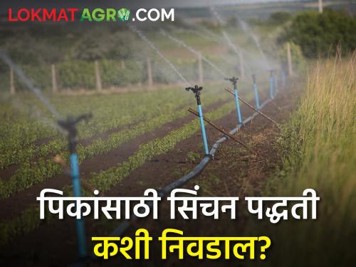 'Irrigation' management is essential for crops | पिकांसाठी 'सिंचन' व्यवस्थापन गरजेचे