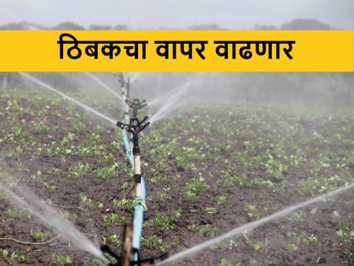 Drip Irrigation System: A good monsoon will increase the number of farmers using drip irrigation | Drip Irrigation: चांगल्या मॉन्सूनमुळे ठिबक वापरणाऱ्या शेतकऱ्यांची संख्या वाढणार