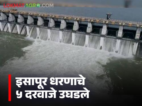 latest news Isapur Dam Water Storage: 5 gates of Isapur Dam opened; Water discharge into Painganga River begins | Isapur Dam Water Storage : इसापूर धरणाचे ५ दरवाजे उघडले; पैनगंगा नदीत पाण्याचा विसर्ग सुरू