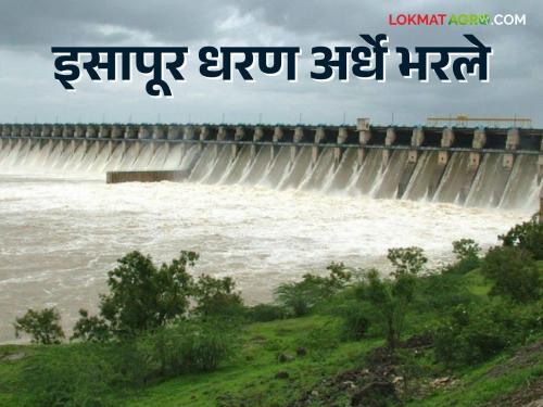 Isapur Dam : Heavy rain in catchment area; Isapur Dam is half full | Isapur Dam : पाणलोट क्षेत्रात जोरदार पाऊस; इसापूर धरण अर्धे भरले