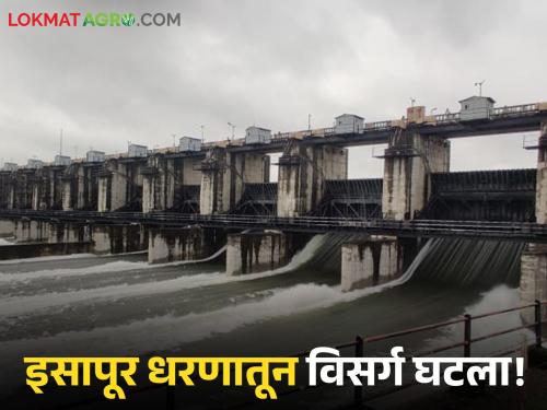 latest news Isapur Dam Water Release: Isapur Dam Update; Read in detail how much is being released into the Painganga river basin | Isapur Dam Water Release : इसापूर धरण अपडेट; पैनगंगा नदीपात्रात किती होतोय विसर्ग वाचा सविस्तर