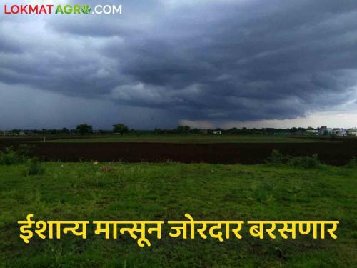 Maharashtra Weather Update : Signs of good rain this October How and how much rain will fall? Read in detail | Maharashtra Weather Update : ऑक्टोबर महिन्यात यंदा चांगल्या पावसाचे संकेत कसा आणि किती पडेल पाऊस? वाचा सविस्तर