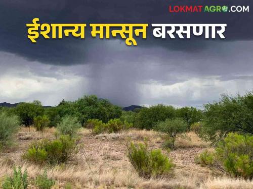 Maharashtra Weather Update : Signs of good rains in the month of October How will the rains be? | Maharashtra Weather Update : ऑक्टोबर महिन्यात चांगल्या पावसाचे संकेत कसा राहील पाऊस