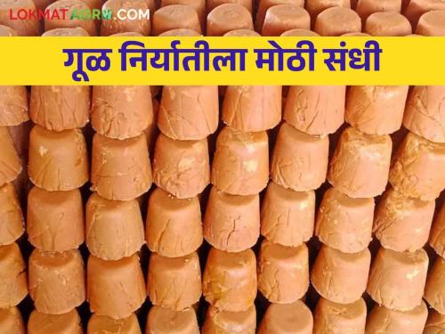 Kolhapur Gul: In the export of jaggery, jaggery is getting a big opportunity in America at the rate of Rs. 160 per kg | Kolhapur Gul : गूळ निर्यातीत मोठी संधी अमेरिकेत गूळाला मिळतोय १६० रुपये प्रतिकिलो दर