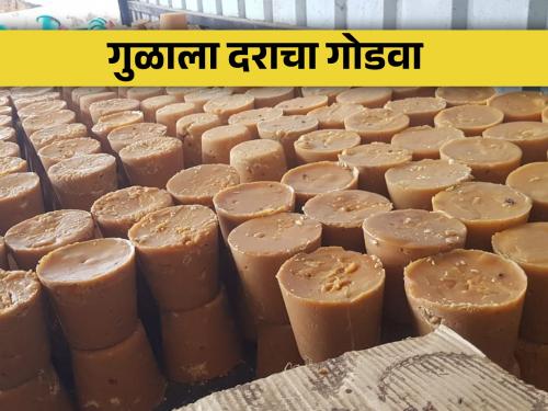 The highest price of Chikki jaggery in Sangli market Committee is 5 thousand 100 rupees | सांगली बाजार समितीत चिक्की गुळास पाच हजार १०० रुपये इतका उच्चांकी भाव