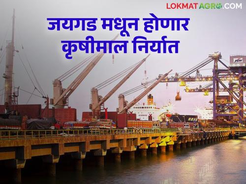 Agriculture Export In order to reduce the export load on JNPT, the idea is to start exporting from these ports in Konkan | Agriculture Export जेएनपीटीवरील निर्यातीचा भार कमी करण्यासाठी कोकणातील या बंदरांमधून निर्यात सुरू करण्याचा विचार