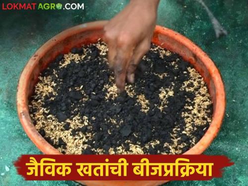 BeeJ Prakriya : How to do biological seed treatment before sowing seeds | Beej Prakriya : बियाणे पेरणी अगोदर कशी कराल जैविक पद्धतीने बीजप्रक्रिया