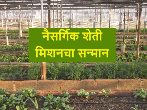 Maharashtra honored with this year's Jaivik India Award for its work in organic farming | सेंद्रीय शेतीच्या कामासाठी यंदाच्या जैविक इंडिया ॲवार्डने महाराष्ट्राचा सन्मान