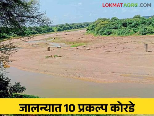 Water Storage : Only 2 percent usable water storage in Jalna district  | Water Storage : जालना जिल्ह्यात केवळ २ टक्के उपयुक्त पाणी साठा 