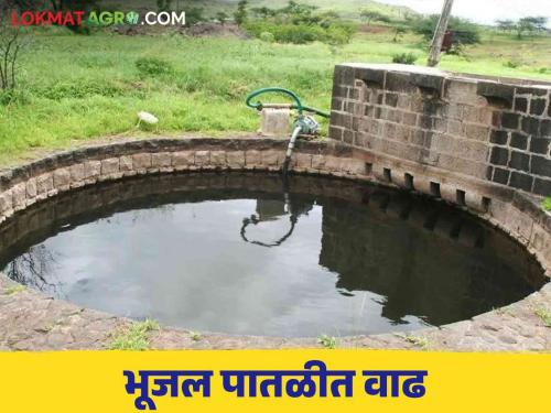 Ground Water Level: Ground water level of Jalna district increased by 'so much' meters; Read in detail  | Ground Water Level : जालना जिल्ह्याची भूजल पातळी 'इतक्या' मीटरने वाढली; वाचा सविस्तर 