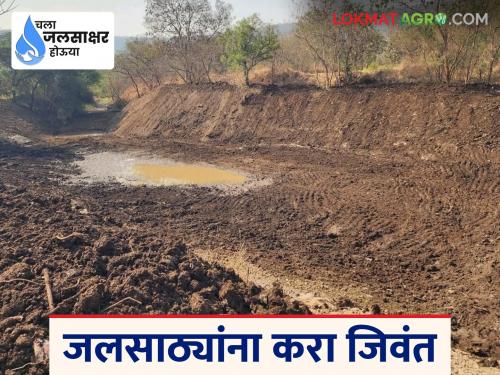 How to make water reservoirs alive to increase water storage? Learn in detail | पाणीसाठा वाढविण्यासाठी कसे कराल जलसाठे जिवंत? जाणून घ्या सविस्तर