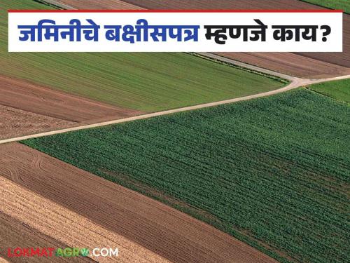 Jaminiche Bakshish Patra : What is farm land deed? why to do read it in detail | Jaminiche Bakshish Patra : जमिनीचे बक्षीसपत्र म्हणजे काय? आणि ते का करायचे वाचा सविस्तर